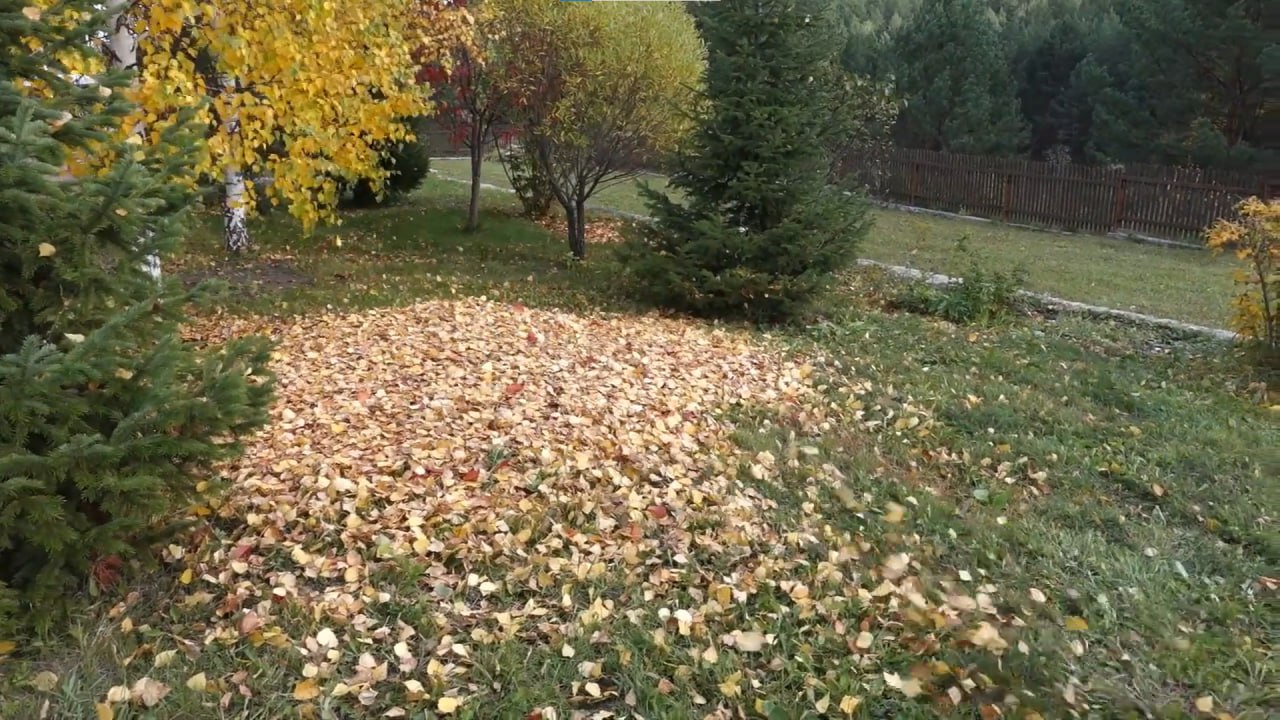 https://velikij-novgorod.mslandshaft.ru/storage/app/uploads/public/642/ac5/f22/642ac5f2293e2935715739.jpg